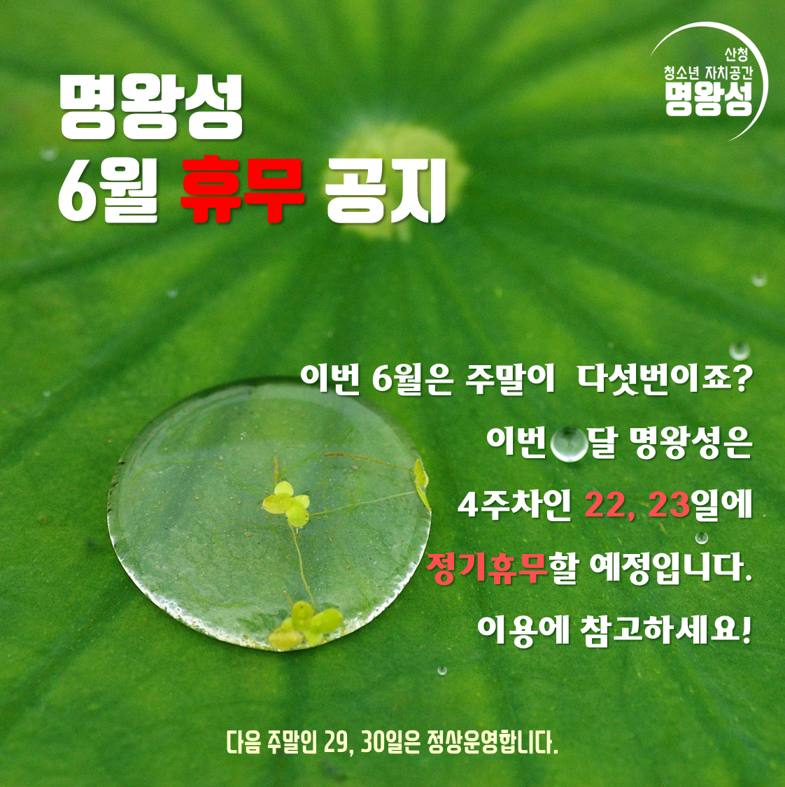 휴무공지_6월.png