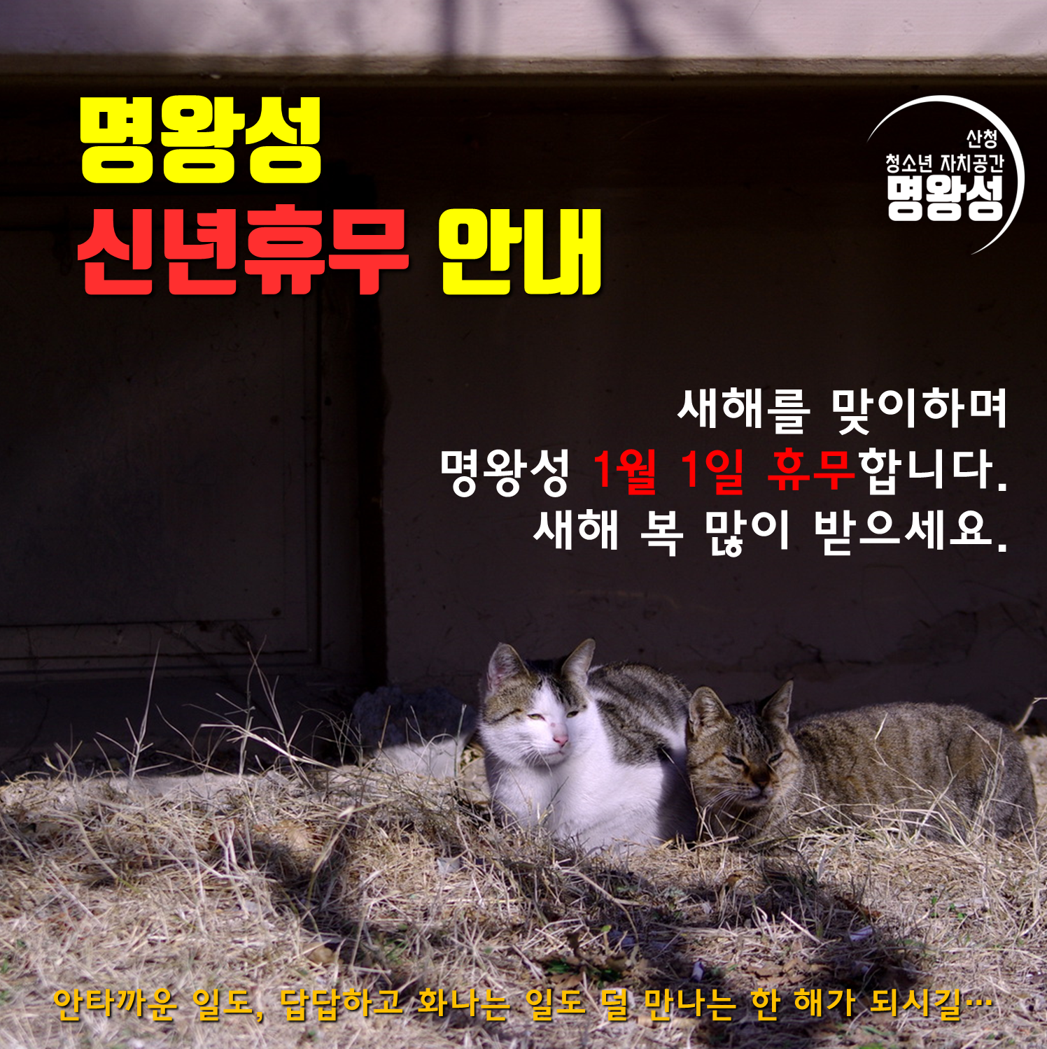 2025새해휴무.png