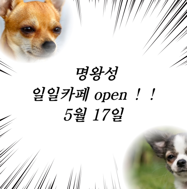 KakaoTalk_20250426_182540612_01.jpg