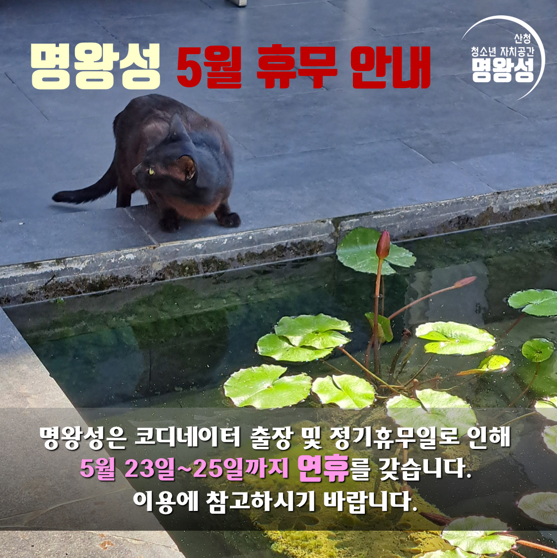 5월정기휴무공지.png