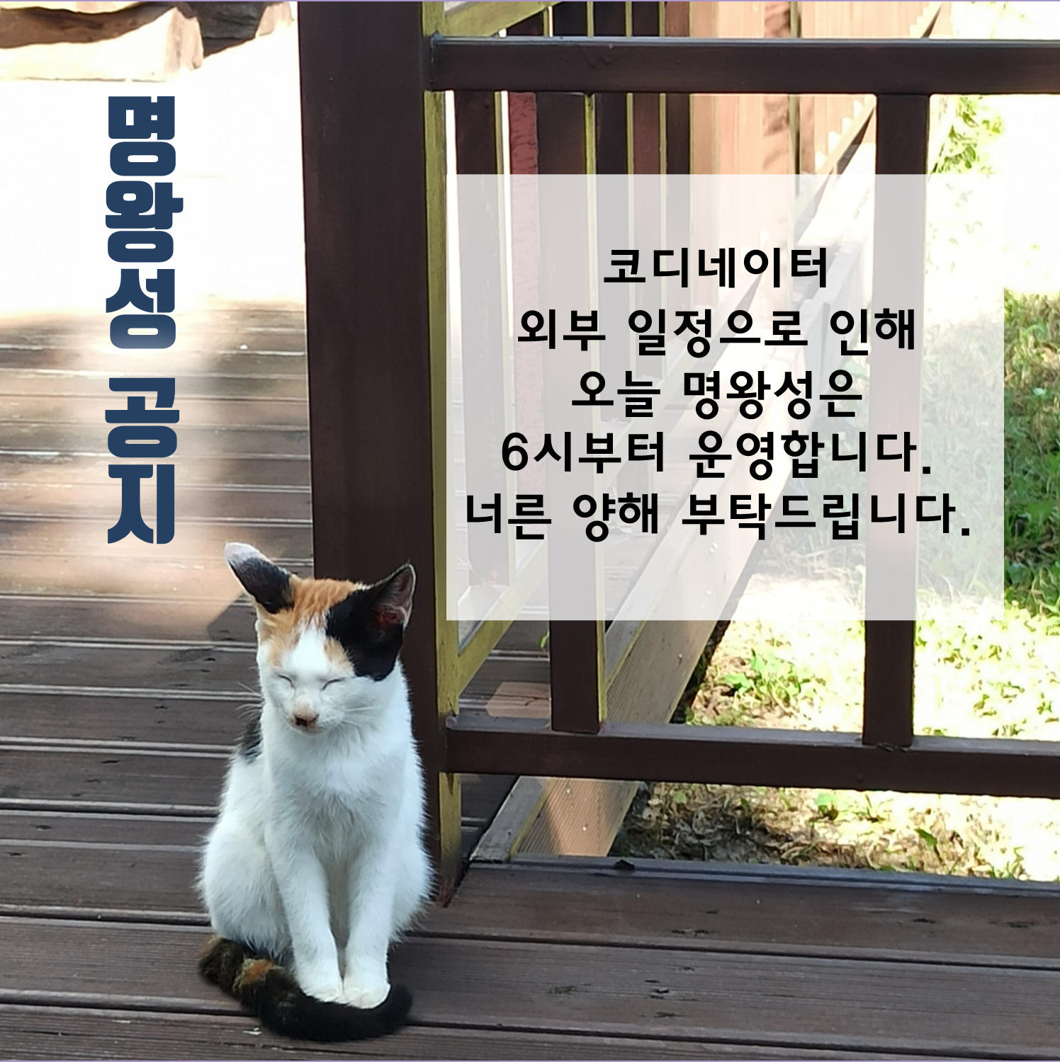0604늦게엽니다.png