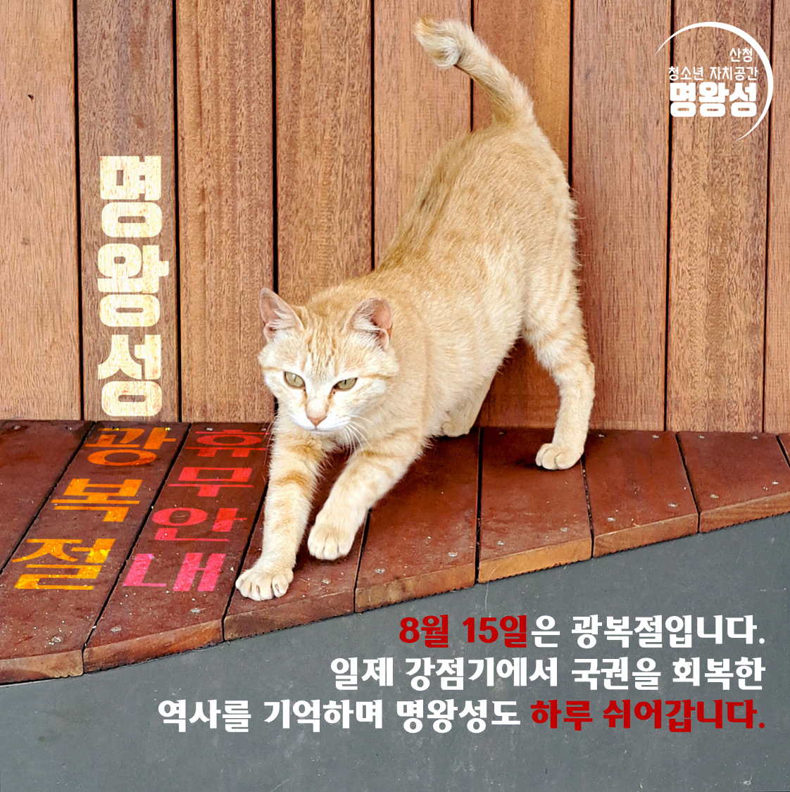 광복절휴무공지.png
