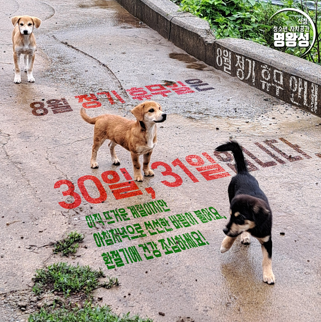 8월휴무안내.png