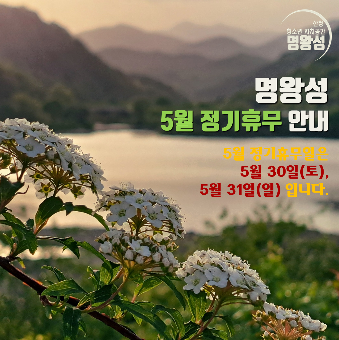 5월정기휴무.png