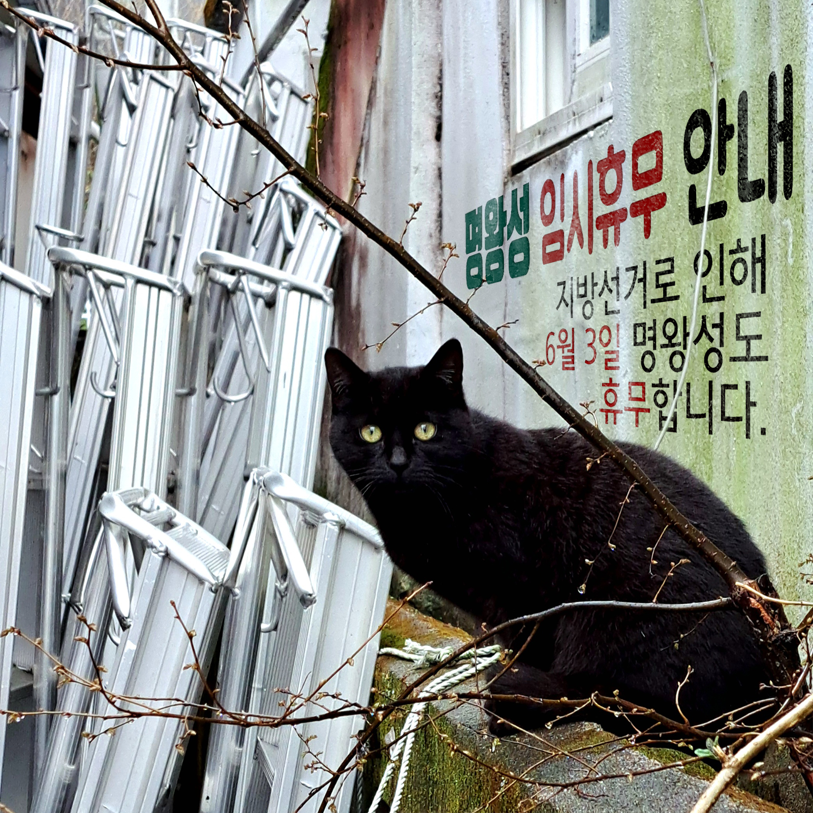 지방선거.jpg