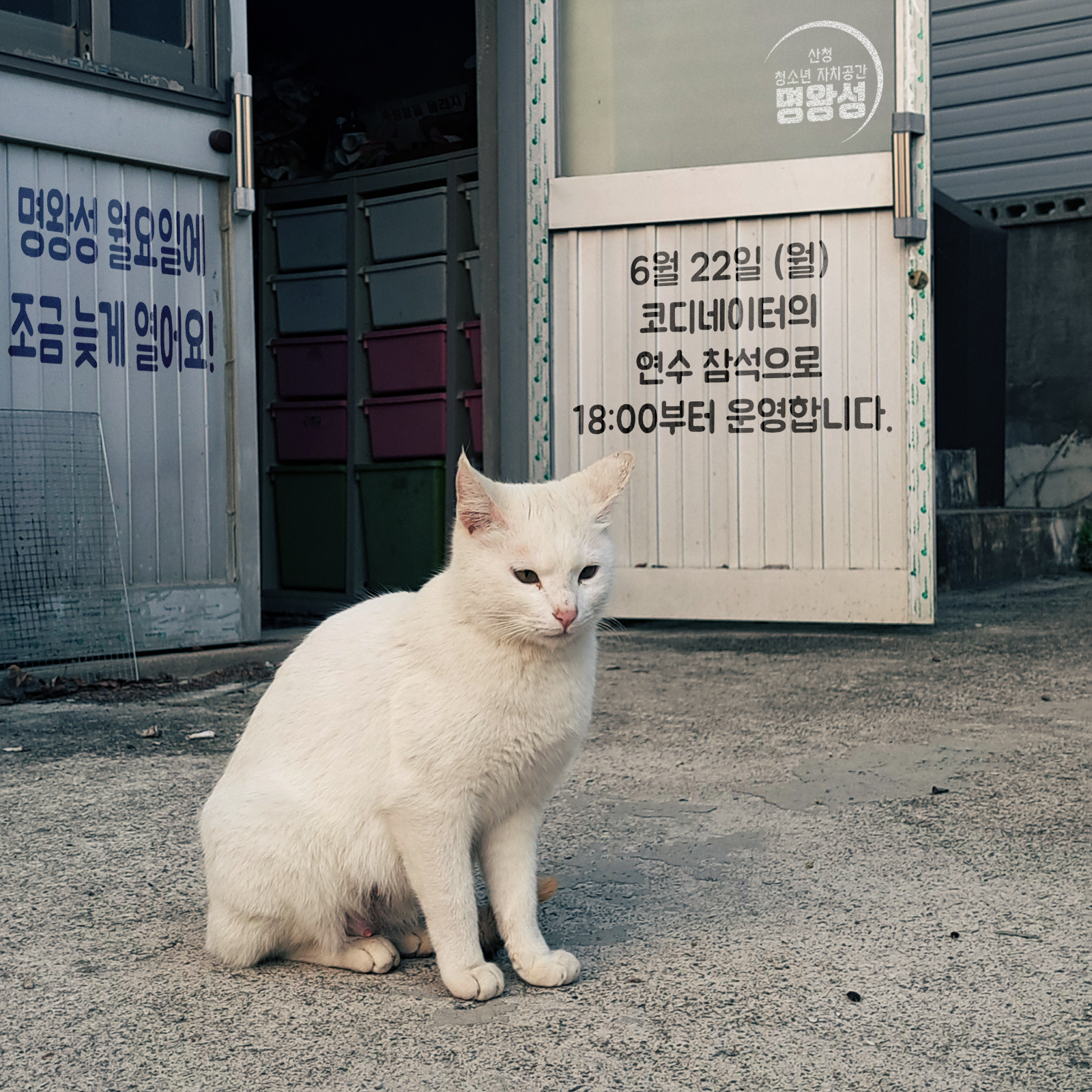 늦게열어요.png
