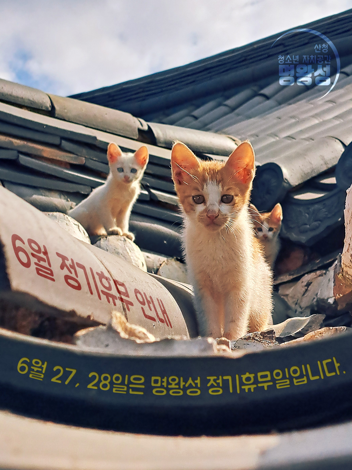 6월정기휴무.png