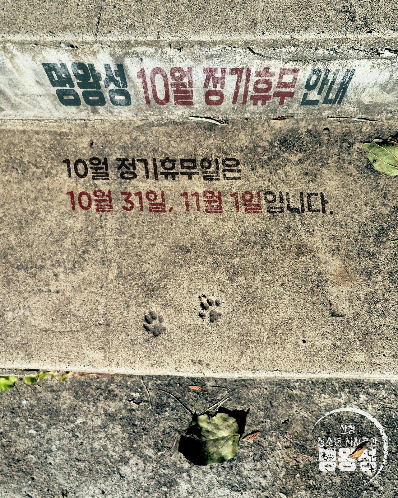 10월정기휴무.jpg